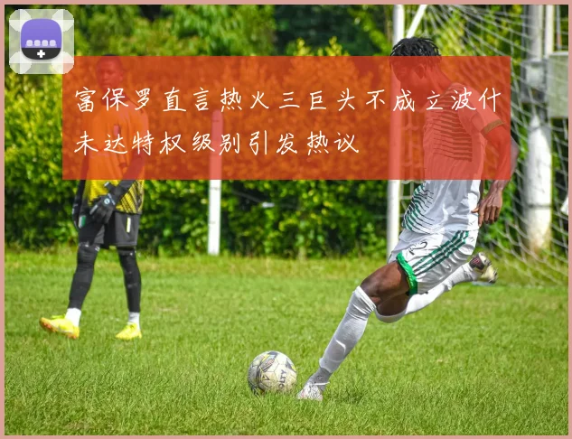 富保罗直言热火三巨头不成立波什未达特权级别引发热议